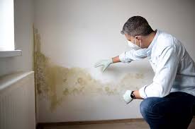 Best Comprehensive Air Testing for Mold Contaminants  in USA